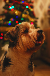 Similar image 21663614