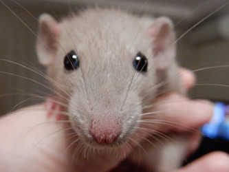 Similar image 21663615