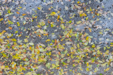 Similar image 21663617