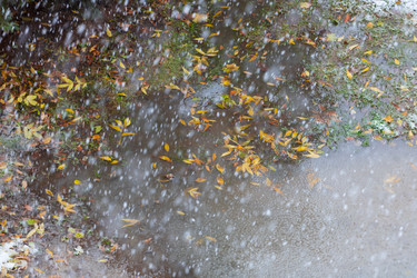 Similar image 21663618