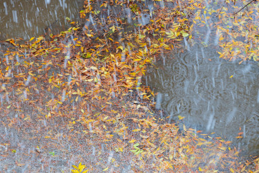 Similar image 21663619