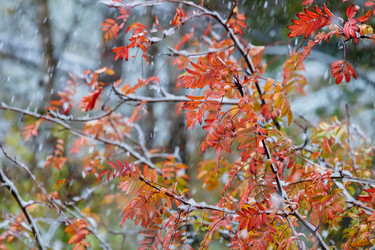 Similar image 21663965