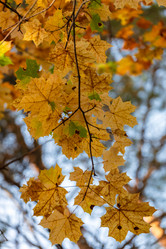 Similar image 21663621