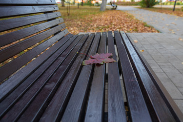 Similar image 21663622