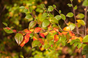 Similar image 21663625