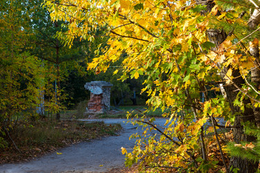 Similar image 21663626