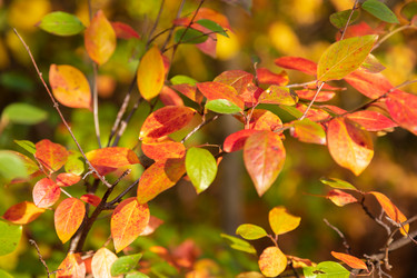 Similar image 21663627