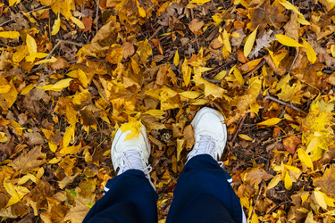 Similar image 21663628