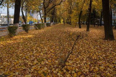 Similar image 21663629