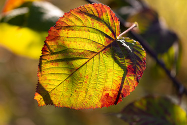 Similar image 21663630