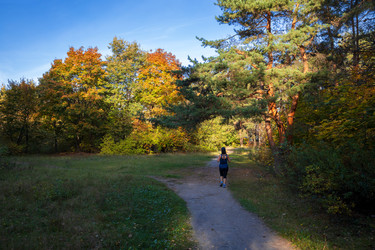 Similar image 21663631