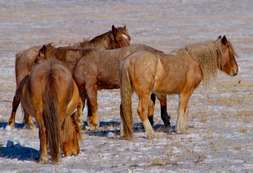 Similar image 21664494