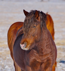 Similar image 21664505