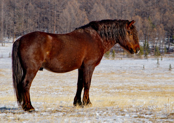 Similar image 21664512