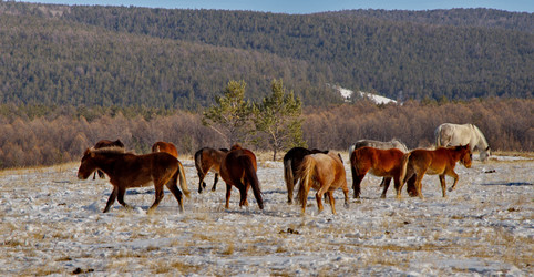 Similar image 21664519