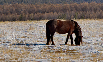 Similar image 21664523