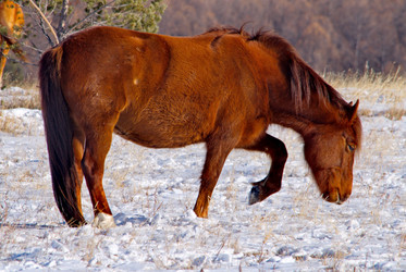 Similar image 21664525