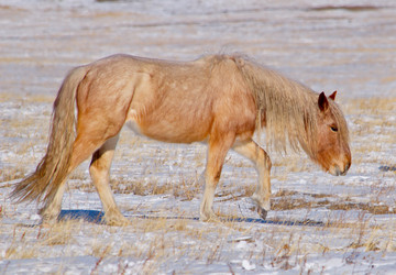 Similar image 21664529