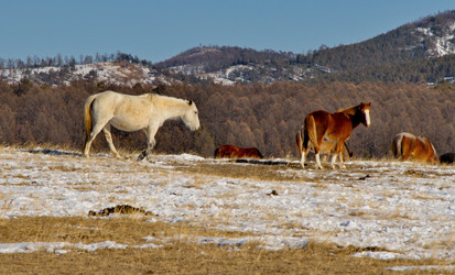 Similar image 21664531