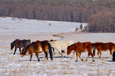 Similar image 21664533