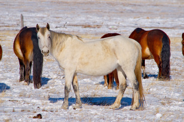 Similar image 21664534