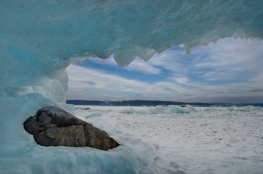 Similar image 21664804