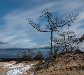 Similar image 21664809