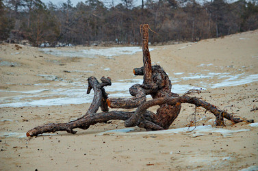 Similar image 21664816