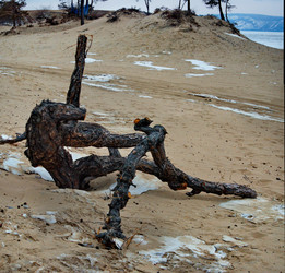 Similar image 21664817