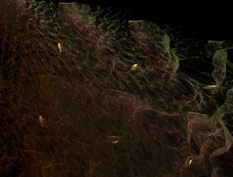 Similar image 21665015