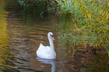 Similar image 21663649