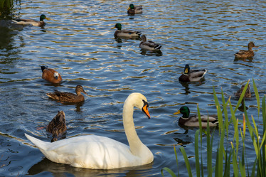 Similar image 21663650