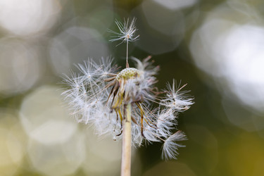 Similar image 21663651