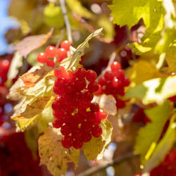 Similar image 21663652