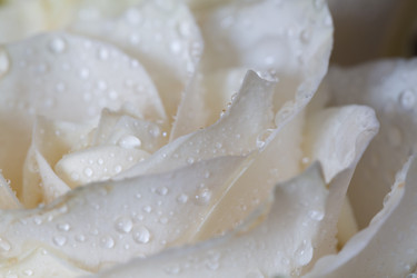 Similar image 21663654