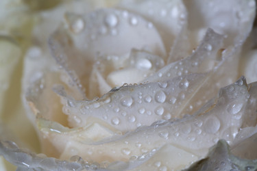 Similar image 21663655