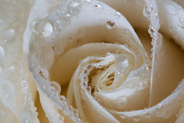 Similar image 21663656