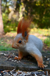 Similar image 21683084