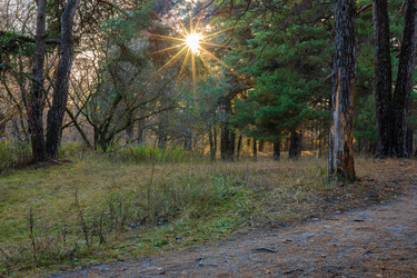 Similar image 21663658