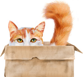 Similar image 21667288