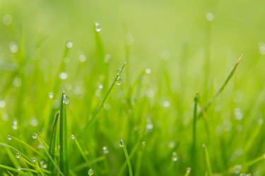 Similar image 21664146