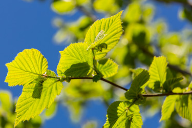 Similar image 21664150