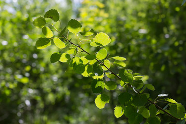 Similar image 21664152