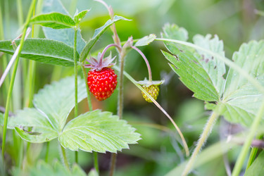 Similar image 21664153