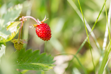 Similar image 21664155