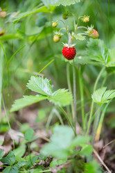 Similar image 21664157