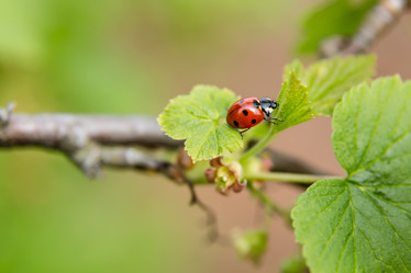 Similar image 21664158