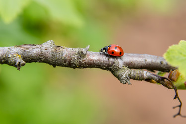 Similar image 21664159