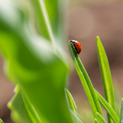 Similar image 21664160