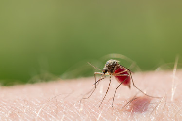 Similar image 21665455